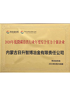 2020年低微碳铬铁行业年度综合实力十强企业.jpg