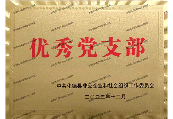 优秀党支部2.jpg