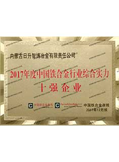 2017年度中国铁合金行业综合实力十强企业