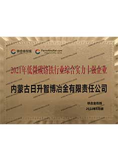 2021年低微碳饹铁行业综合实力十强企业