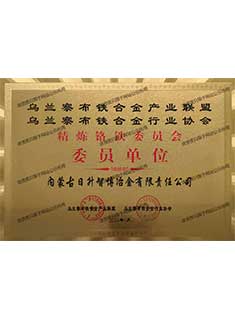 精炼铁委员会委员单位